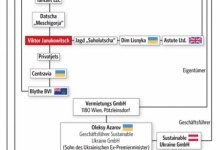 В Австрії опублікували схему «відмивання» грошей Януковичем, Азаровим і Клюєвим