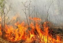 На Волині спалювачі сухої трави підпалили будинок