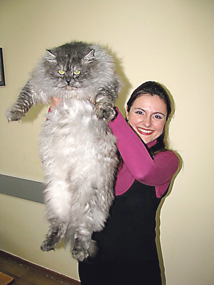 Кіт Чарлік важить 18 кілограмів