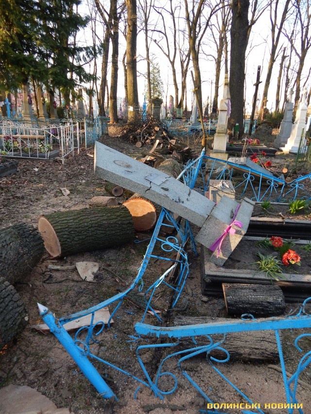 У Ковелі хтось підпалив дерево на кладовищі — воно поруйнувало кілька могил