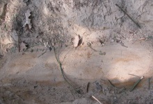 На Ковельщині знайшли бомбу вагонну 1000 кілограмів (фото, відео)