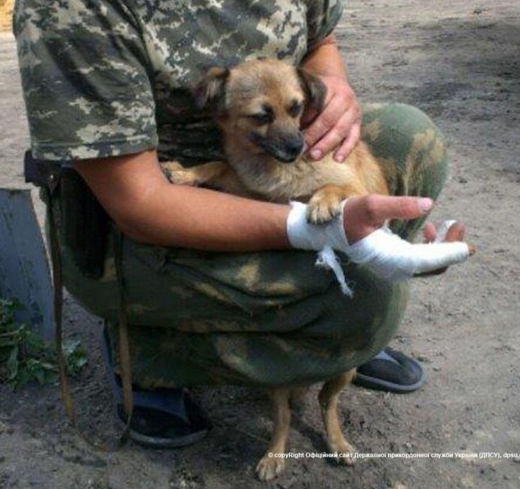 На луганському пункті пропуску «Довжанський» прикордонників про напади терористів попереджає собачка