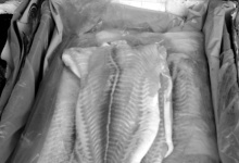 Українцям продають рибу, вирощену на... свинячому гноєві