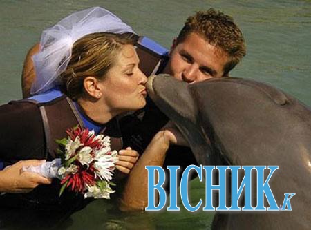 Одружилися мільйонерка та... дельфін