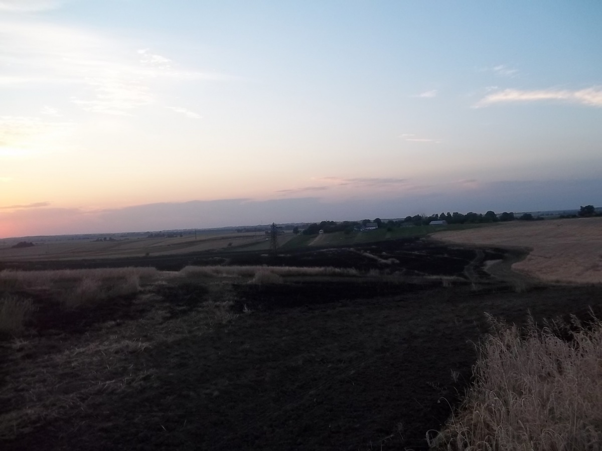 На Волині згоріло 14 гектарів пшениці через спалювання стерні