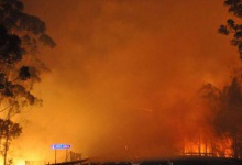 На Волинь насувається африканська спека і пожежна небезпека