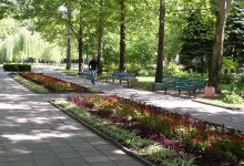 «Західній нафтовій групі» не дали забудувати парк у Миколаєві