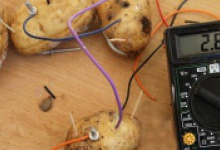 Дубенський школяр видобуває енергію з картоплі