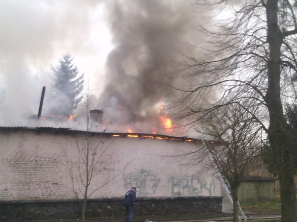 У центральному парку Луцька була пожежа