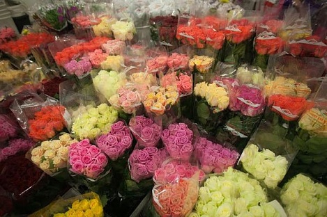Незвична крадіжка на Волині — з магазину винесли квітів на 37 тисяч гривень