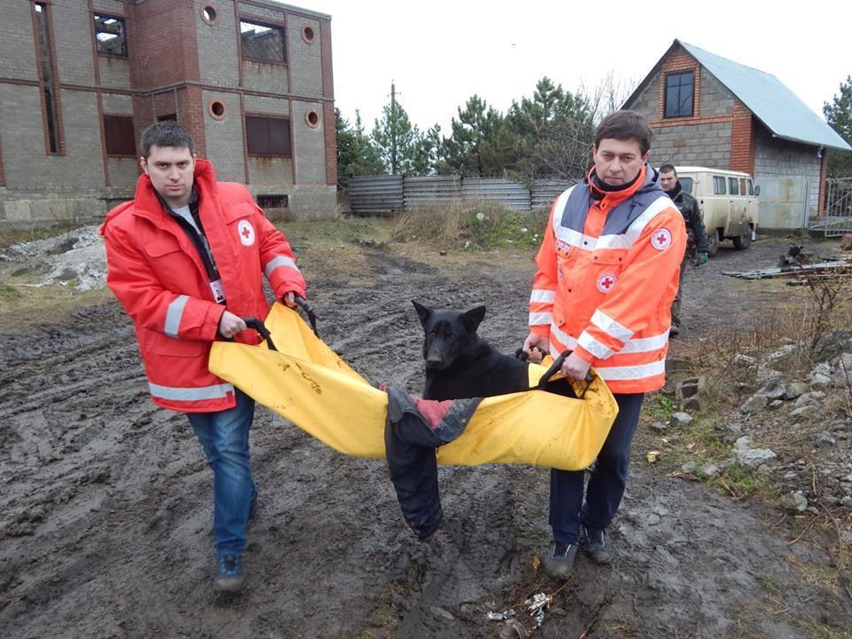 Поїдання собак російськими найманцями набирає масовості, «Червоний Хрест» і «Азов» взялися за порятунок тварин (18+)