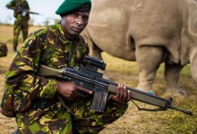 До останнього у світі самця білого носорога приставили цілодобову озброєну охорону