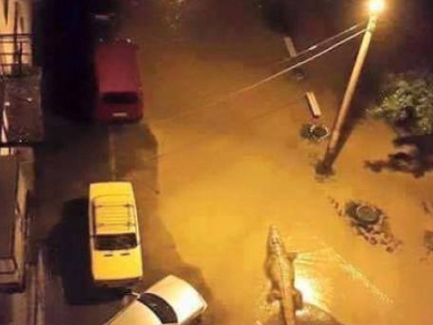 У Тбілісі внаслідок повені загинуло 10 людей, містом бродять дикі тварини із зоопарку