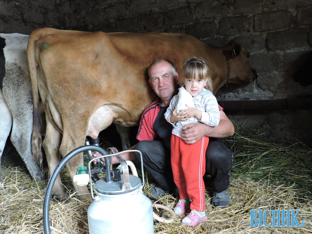 У селян молоко скуповують за безцінь