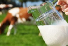 Здаєш молоко на завод — вкажи у декларації на субсидію