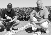 По 400-900 центнерів картоплі з гектара — це реальність