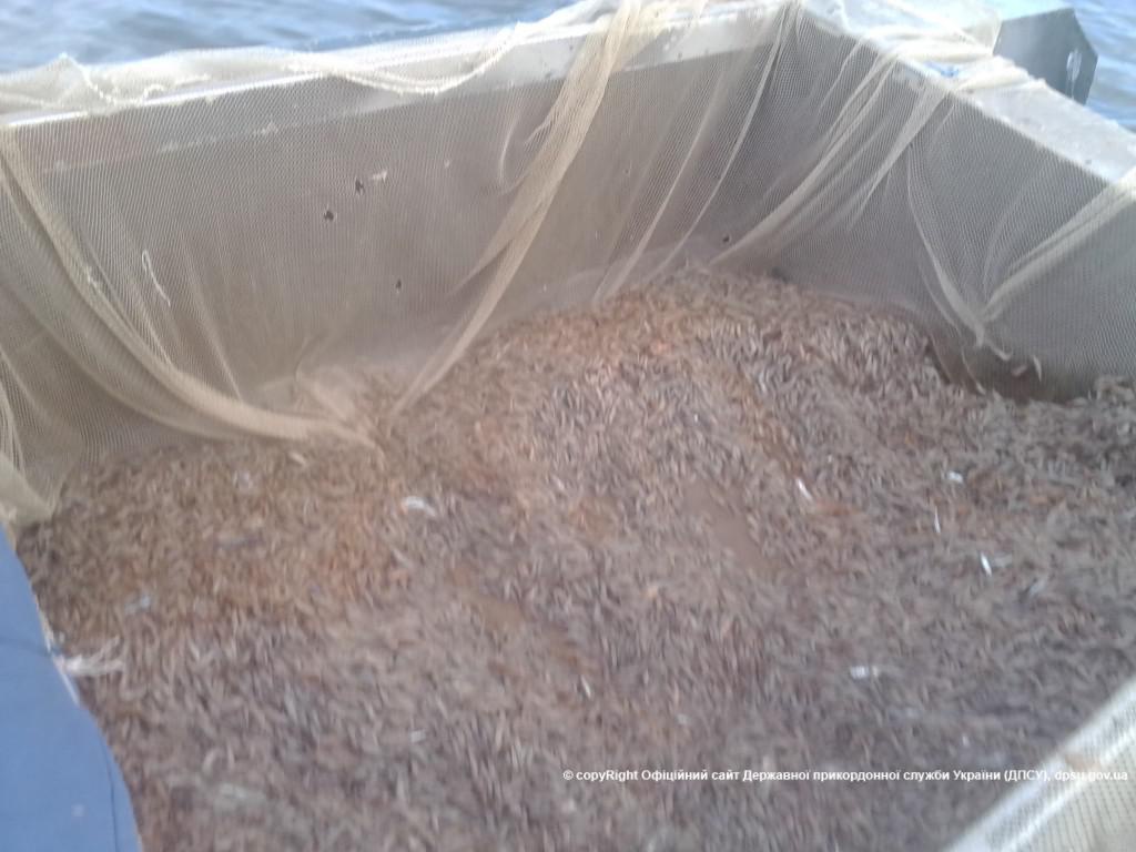 На Херсонщині охоронець природи незаконно виловив 350 кілограмів креветок
