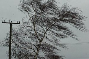 До кінця дня на заході Україні вітер може посилитися до 30 метрів за секунду