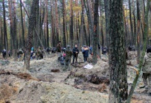 Правоохоронці не дадуть буштинокопачам зустріти новий рік у волинських лісах