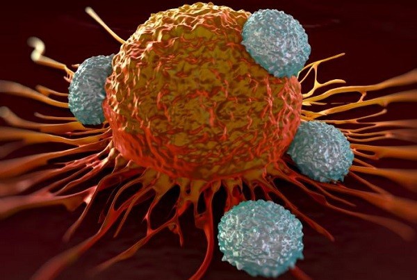 Вчені знайшли слабке місце ракових клітин