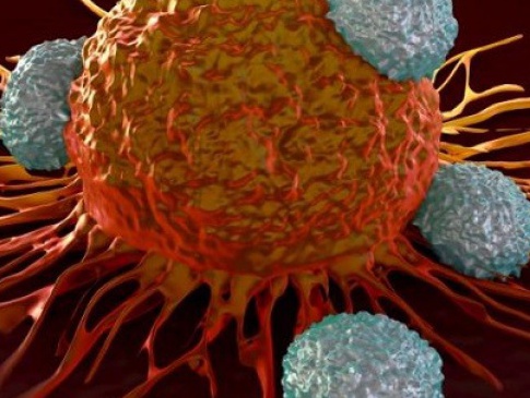 Вчені знайшли слабке місце ракових клітин