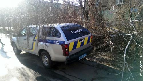 У Нововолинську «підбили» спиляною березою новеньке поліцейське авто