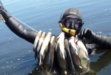 На Хрінницькому водосховищі дайвери вибили крупну рибу