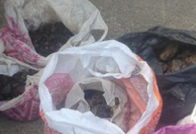 На Рівненщині в автомобілі жителя Полтавської області вилучили 11 кілограм бурштину