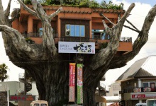 Ресторан з ліфтом «примостився» на дереві