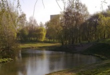 Недоношене немовля у річку в Луцьку викинула 19-річна студентка