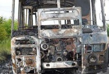 Один автобус Луцьк-Вітоніж згорів, а через кілька днів запасний збив корів