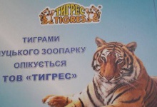 У тигрів з Луцького зоопарку знайшлися меценати