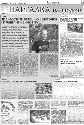 Сторінка № 15 | Газета «ВІСНИК+К» № 23 (1054)