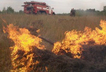 На Ковельщині вигоріло 2 гектари поля