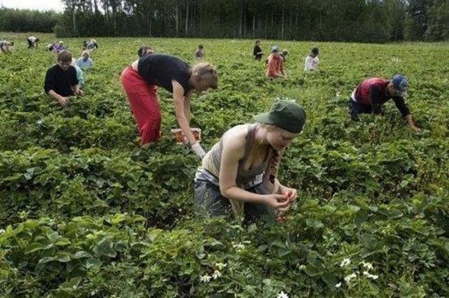 Польща змінить правила працевлаштування для іноземців
