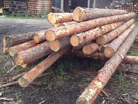 На Волині вилучили незаконної деревини на півмільйона