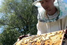 Бджолярів включили до державних професій