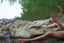 В Африці троє чоловіків загинули при спробі згвалтувати... крокодила