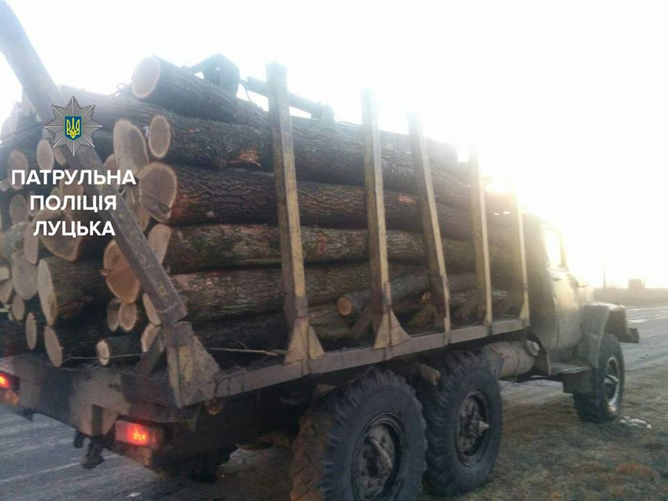 На Волині затримали машину комерційної деревини оформлену «дровами»