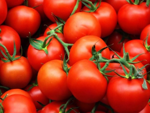 Везли заражені томати