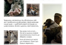 У Луцьку унікальна фотовиставка присвячена тваринам війни