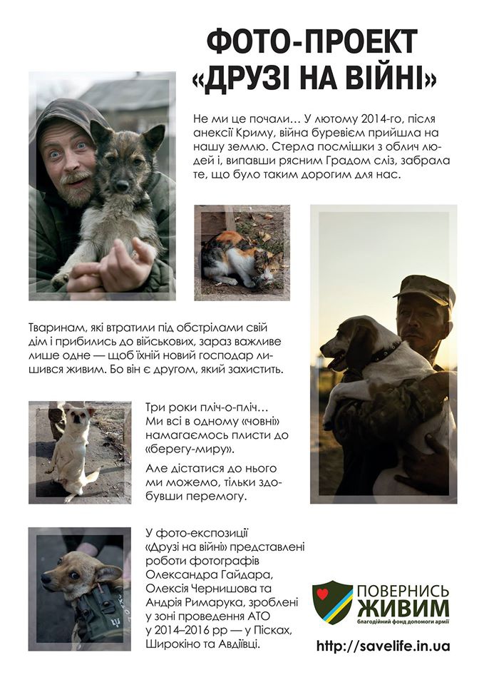 У Луцьку унікальна фотовиставка присвячена тваринам війни