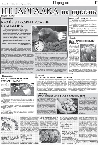 Сторінка № 17 | Газета «ВІСНИК+К» № 11 (1094)