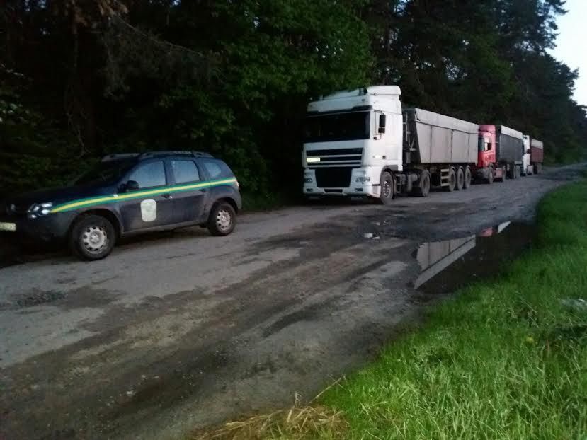 На Волині лісівники зловили львівських сміттярів, яких супроводжувало місцеве авто