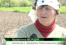 80 урожайних сортів картоплі вирощує селянка Хмельницького району