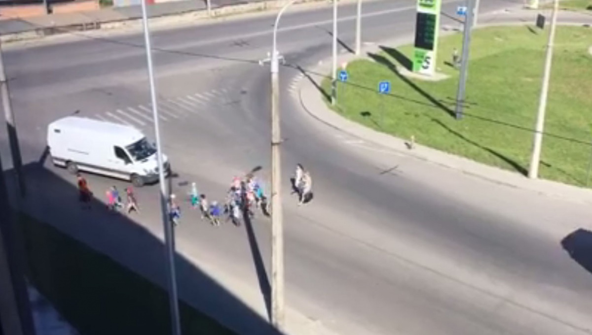 У Луцьку вихователька переводила дітей через дорогу поза пішохідним переходом