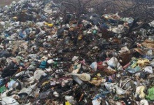 Викрили організаторів розкидання львівського сміття по всій Україні