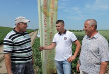 Нові сорти, нові тенденції картоплярства популяризує сімейне фермерське господарство Аршуліків