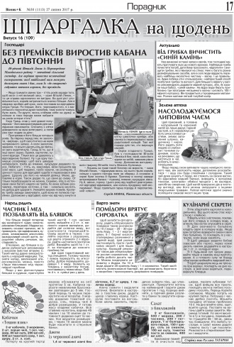 Сторінка № 17 | Газета «ВІСНИК+К» № 30 (1113)