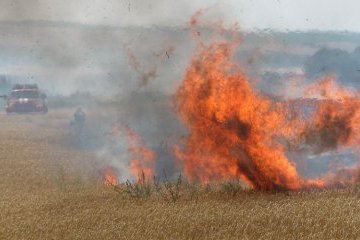 Бойовики підпалюють поля та ліси поблизу позицій українських військових